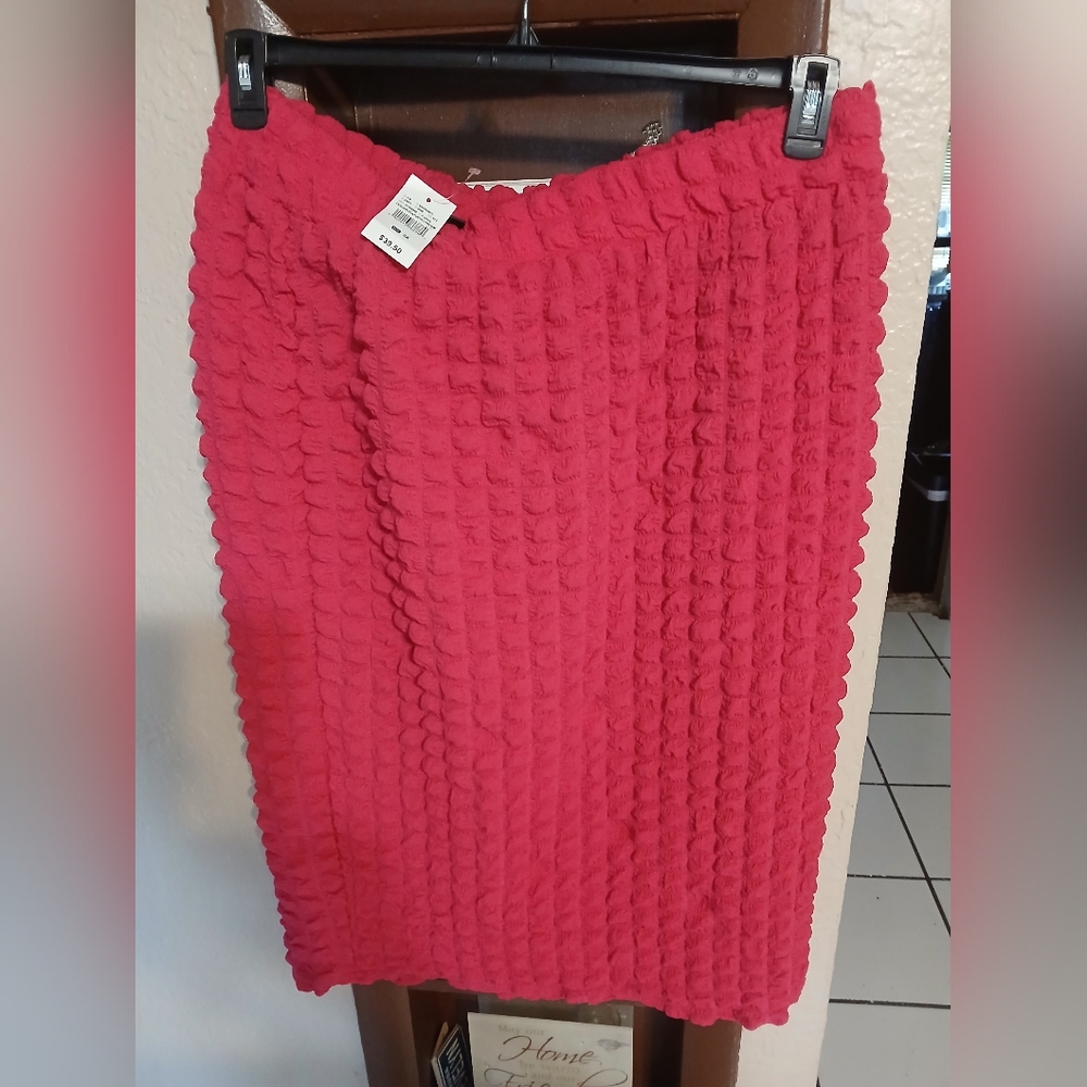Jolie and Joy Fuscia 2pc Skirt set 3X